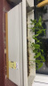 漫生活 长条种菜盆(约12L土/盆)阳台种植盆种子育苗玫瑰月季香葱香菜蔬菜花卉树脂花盆米白一体花盆(大号) 晒单实拍图