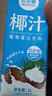 HELLO COCO你好椰椰子汁1L大瓶装新鲜生榨椰汁儿童早餐椰奶植物蛋白饮料整箱 椰子汁1L*1瓶 实拍图