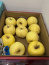 形果山东奶油富士苹果中大果当季现摘山东富士苹果孕妇儿童新鲜水果 奶油富士特大果 精选5斤装 实拍图