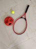 飞尔顿FED网球拍网球训练器带绳穿线回弹球初学者大学生成人专用训练拍 实拍图