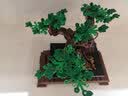 乐高（LEGO）积木拼装玩具 创意百变系列 10281盆景 18岁+ 六一儿童节礼物 实拍图
