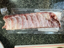 elpozo冷冻伊比利亚黑猪脊排400g 黑猪肉肋排猪排骨生鲜扇子骨烤肉食材 实拍图