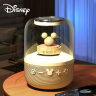 迪士尼（DISNEY）智能蓝牙音响音箱内置小度 高颜值生日礼物礼品 无线户外便携 迷你大音量长续航播放器 S6卡其色 实拍图