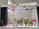 汉霸超白玻璃鱼缸 生态底滤循环系统 鱼缸客厅 家用智能懒人 水族箱 银+白 屏风款1.0米长x40cm宽x75cm+80cm高 实拍图
