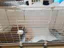 爱咪宠狗笼子小中型犬带厕所冬天家用保暖小型犬狗狗围栏泰迪比熊狗笼 三格带轮【109_37_67】可储物 豪华款：狗窝+喂水喂水器+基础款 实拍图