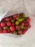 京地达 栗贝诺圣女果小番茄三色番茄组合水果小番茄 净重4.5斤源头直发 实拍图