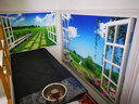 3D假窗户装饰画风景贴画仿真立体壁画客厅背景卧室床头自粘墙画 图四窗户田园风景 左右长180厘米*上下高120厘米 实拍图