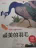 儿童成长暖心教育绘本（套装8册） 儿童绘本3-6岁幼儿启蒙童话故事名家获奖绘本金波经典帮助孩子收获自信和意志力  实拍图