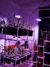 公牛漏电保护插头带线漏保开关带电源线10A/16A电热水器浴室防漏电带线延长线 10A插头【1平线径】3米 实拍图