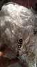 厨房家用彩色食品保鲜膜套可拉伸居家冰箱水果饭菜保鲜收纳 400只 实拍图