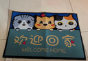 派代（PAIDAI）入户门垫家用进门门厅脚垫玄关防滑垫耐磨垫子门口地垫 40cm*60cm3只小猫 实拍图