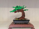 乐高（LEGO）积木拼装玩具 创意百变系列 10281盆景 18岁+ 六一儿童节礼物 实拍图