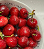 田拾记智利车厘子【JD-多地次日达】4j级车厘子5kg樱桃水果送礼品礼盒 1斤(净重) 简装【不划算】 大果 J 26-28mm丨个小不推荐 实拍图