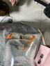 AIPHAROW百褶泰狮冷水金鱼精品活鱼进口f1红菠萝泰师樱花黑色百褶裙国粹 5-6CM红白精选百褶泰狮1条 实拍图
