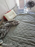 南极人加厚抗菌法兰绒床垫 双人折叠垫子榻榻米防滑床垫子垫被 1.5米床 实拍图