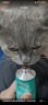 伟嘉成猫猫粮10kg海洋鱼味布偶蓝猫橘猫加菲英短猫咪全价粮 实拍图