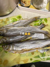 稀壤鱼干刁子鱼小白条白漂鱼晒干风干鱼 250g(长度20cm以上) 实拍图
