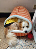 诚实一口经典N33全期小型犬粮狗粮 狗干粮 无谷高蛋白 2kg*8袋 实拍图