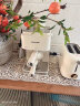 赛普达EA09意式咖啡机家用小型半自动奶泡机办公室浓缩美式煮咖啡机奶泡一体咖啡豆粉 实拍图