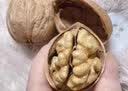 江博尔新疆纸皮核桃原味生核桃 新核桃阿克苏特产薄皮核桃 5斤礼盒装 实拍图