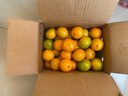 吉果叔 正宗广西茂谷柑 应当季新鲜水果薄皮脏脏柑橘石灰柑橘子整箱 净重8.5-9斤 【中果】果径60-65mm 实拍图