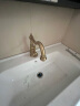 老铜匠（LTJ）卫浴全铜水龙头卫生间欧式仿古复古洗脸盆洗手盆洗脸池 标准款青古铜色 实拍图