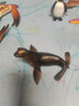 玛奇乐（MECHILE）仿真海洋生物玩具鲨鱼海豚海葵海星海马水母皮皮虾面包蟹动物模型 海狮 实拍图