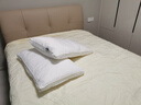 罗莱（LUOLAI）家纺枕头枕芯抗菌防螨五星级酒店枕 【轻奢立高】阻螨抗菌酒店枕 X 实拍图