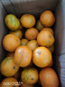 柏馋广西沃柑新鲜纯甜橘子当季时令水果桔子柑橘应季整箱正宗当季 精选9斤净重8.5斤 大果65-70mm 实拍图