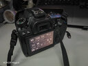 佳能/CANON  80D 60D 70D 77D 50D 90D 半画幅 二手单反相机 佳能80D 单机 95新 实拍图