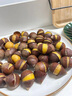 中鲜生2025年福建建瓯新鲜锥栗 当季新鲜板栗现摘高山生栗子精选大果 老树锥栗 5斤 大果带木质开口器 实拍图