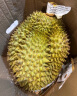 京鲜生 泰国进口金枕头榴莲 3.5-4kg 1个装 新鲜水果 实拍图