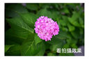 尼康尼克尔 Z 28mm f/2.8 (SE) 【全国可用消费券】广角定焦镜头 尼康镜头 实拍图