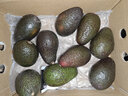 鲜青录秘鲁进口牛油果鳄梨奶油酷热带新鲜宝宝孕妇水果 1800g力荐10个特大 单180-210g 实拍图