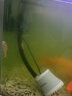 亚峰（yafeng）底吸潜水泵鱼缸水泵抽水泵小型低音过滤器循环泵底吸泵吸粪泵家用 25W 新升级【流量可调】 +水管 实拍图