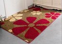 宝丽彩定制进门入户地垫门垫大门口脚垫家用卧室卫生间玄关客厅防滑垫 红色五花 80*120cm【精选绒面】 实拍图