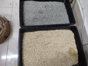 金多乐豆腐猫砂10kg公斤混合砂约20斤装猫沙结团吸水可冲厕 2mm竹炭豆腐猫砂20斤 实拍图