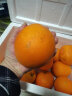 土八鲜赣南脐橙江西橙子应季新鲜水果产地直发赣州脐橙礼盒 王者橙10斤装【单果330-450g】 实拍图