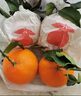 静益乐源爱媛38号果冻橙 四川爱媛果冻橙 桔橘水果 8斤中果果径65-70mm 实拍图