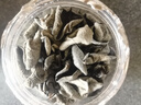 十年梦东北黑木耳干货小碗耳肉厚无根秋木耳新货商用木耳罐装 1000g【10倍泡发】 实拍图