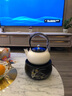 莺歌烧 电陶炉煮茶 茶炉 小型家用轻音无线遥控煮茶炉 养生茶炉煮茶器冬日围炉煮茶 黑色幽兰 黑色幽兰+雪花釉柿形陶壶 实拍图