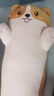捉趣（ZHUOQU）猫咪抱枕公仔毛绒玩具女孩长条玩偶冰丝睡觉夹腿抱枕生日新年礼物 柴犬【独立内胆】 全长约110cm 实拍图