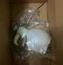 沃施（WORTH）加长嘴浇花水壶气压喷壶喷雾器园艺工具洒水器消毒浇水神器1.2L 实拍图
