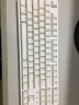 艾石头 FE 87 全键热插拔机械键盘 RGB背光 87键游戏键盘 白色 茶轴 实拍图