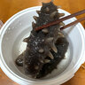 久年大连国标淡干海参 深海辽刺参非即食 海鲜海产干货礼盒官方旗舰店 0g*0盒 海参说明书单拍不发 实拍图