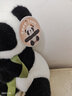中华香皂熊猫抱皂套装礼盒(玩偶+皂50g) 天然成本99%除菌儿童洗手皂 实拍图