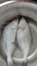 鱼姐海成 青岛新新鲜冷冻小偏口鱼小扁口鱼油煎烧烤海鲜约4-8条/斤3斤袋装 实拍图