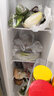 上菱  445升对开门冰箱 一级能效 风冷无霜 节能双变频 离子净味养鲜 家用大容量双开门电冰箱 BSE445PWL（丝蕴灰） 实拍图