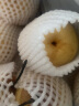 菲农 黄金鸭梨 5斤 单果250-300g 9枚 白鸭梨 脆甜冰糖雪梨 新鲜水果 实拍图