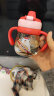 日康（rikang）宝宝学饮杯PPSU鸭嘴杯婴儿水杯喝水6个月直饮趣味吸管杯 珊瑚红【ppsu】 240ml +背带 晒单实拍图